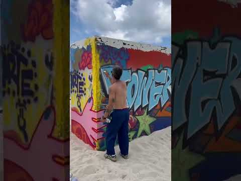 Graffiti Art in MIami Beach 🏖