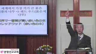 2021년01월31일, 사도행전2:42~47{본향교회와 우리의 부흥(Revival,リバイバル)}-2