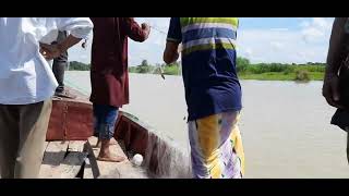 চায়না দুয়ারীর বিরুদ্ধে অভিযান