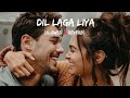 Dil Laga Liya Lofi Dil Hai Tumhara Slowed And Reverb