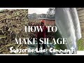 How To Make Silage Kenya Dairy Farming Maize Stover Silage