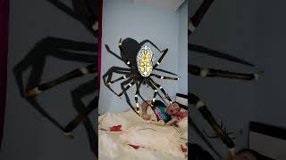 Download lagu OMG Super Giant SPIDER 🕷️🕸️ in bed 🤪 #shorts by PIBABU mp3 Download lagu OMG Super Giant SPIDER 🕷️🕸️ in bed 🤪 #shorts by PIBABU mp3