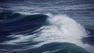 Beautiful Nature With Deep Sleep 🌿 Calm & Nature Sound for Stress Release  Relaxin Music #24
