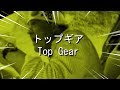Top Gear Is The Best Car Anime