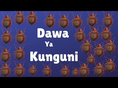 , title : 'Dawa ya Kuua Kunguni mara 1 tu'