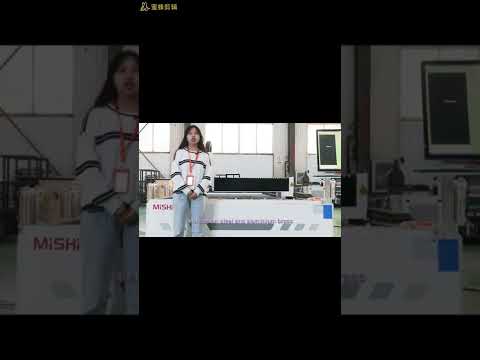 Best Price Strong Bed OEM ODM Safety Type Automatic Fiber Laser Cutting Machine for Sheet Metal