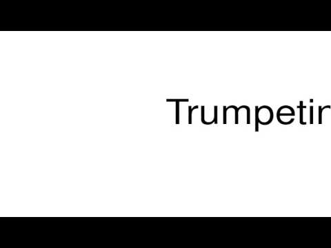 How to pronounce Trumpeting