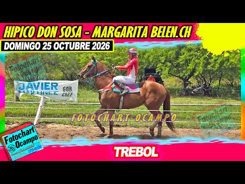 TREBOL Margarita Belen CH 25 10 2026