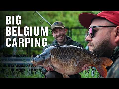 The Belgium Road Trip | Hunting for a BIG Belgium Canal Common | Carp Fishing Film