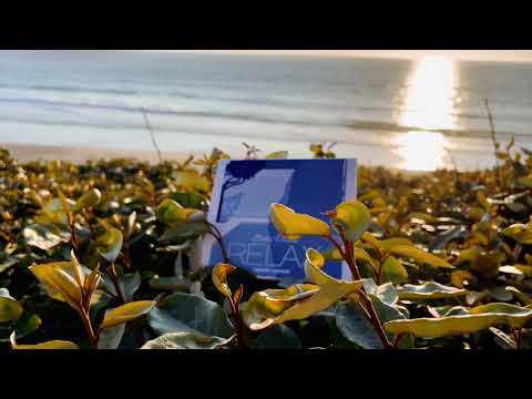 Blank & Jones feat. Zoe Durrant - Erase / Rewind (Official Video)