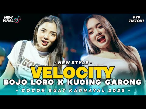 DJ VELOCITY BOJO LORO x KUCING GARONG REMIX VIRAL TIKTOK❗FULL BASS TERBARU