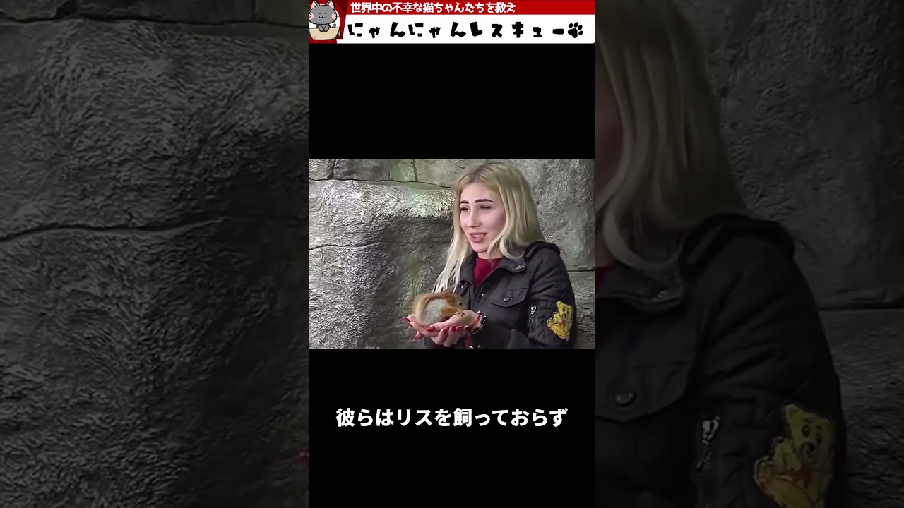 なぜこの猫ちゃんはリスを実の子どものように育てているのか？ #shorts