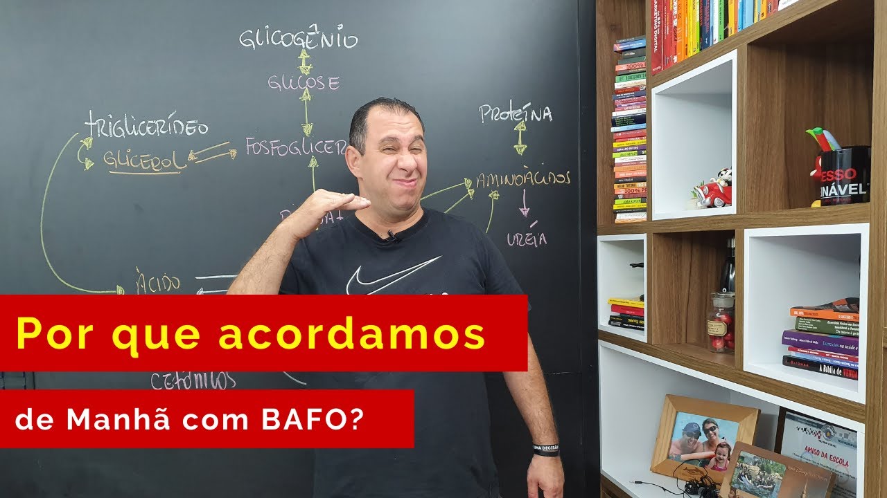 Por que acordo de Manhã com Bafo? (Ciclo de Krebs)