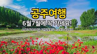 정안천생태공원+메타세콰이어길 이미지