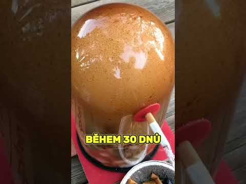 Co Se Stane, Když Vykouříš 600 Cigaret Za Měsíc? #facts