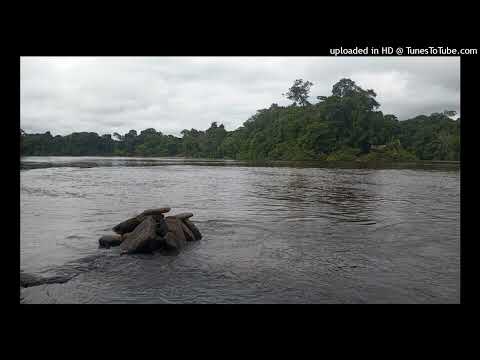 Papa jacob_Alleluia/kasaba saka /old school orgineel poku