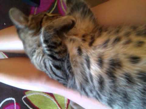 Lilys new favorite thing