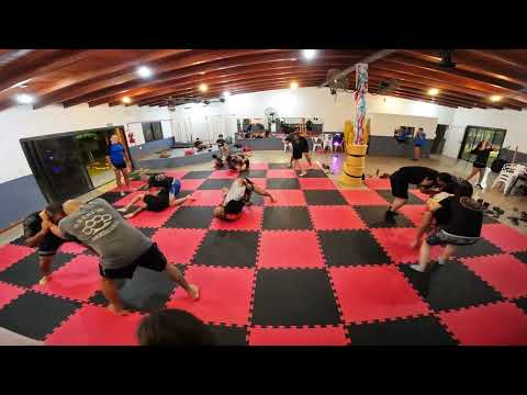 🔥 Brazilian Jiu Jitsu algunas luchas de Enero 2026  | Pollo Team Anisacate 🥋