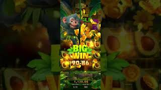 FORTUNE JUNGLE BIG WIN 🐒 | Crazy Monkey Slot Game | Mega Bonus Spin | Fruit Jungle Fun 2026