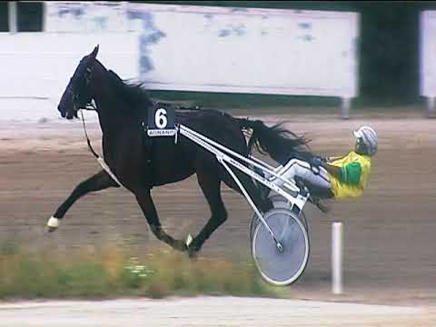 Trotto 22/06/2019 - 5ª corsa