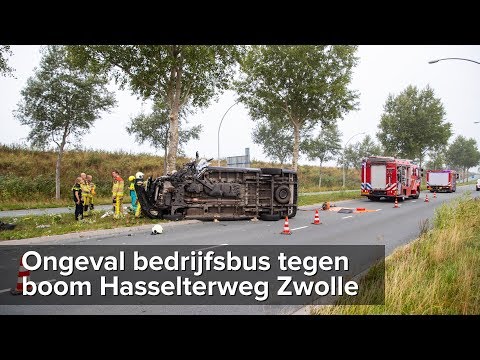Bedrijfsbusje botst tegen boom Hasselterweg Zwolle - ©StefanVerkerk.nl