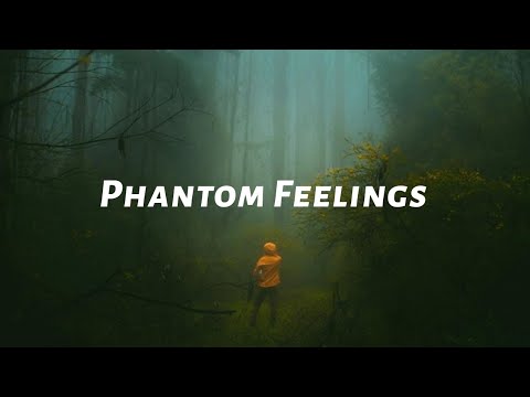 Artemis Orion x Swablu - Phantom Feelings (Lyrics)