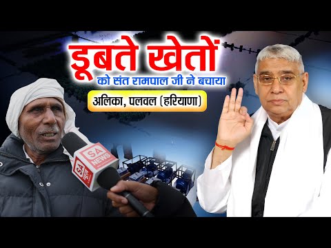 गांव अलिका (पलवल) के खेतों से हजारों टन पानी बाहर | 2 महीने में बाद लहलहाई फसल || SA News Channel