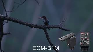 Comparison ILCE1 internal Mic and ECM-B1M