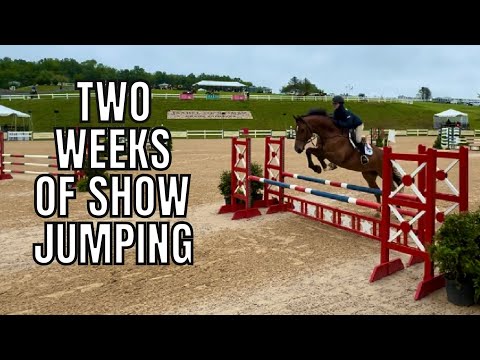 showjumping 2 horses at VHC for 2 weeks! (voiceovers, raws, and leaving out strides)