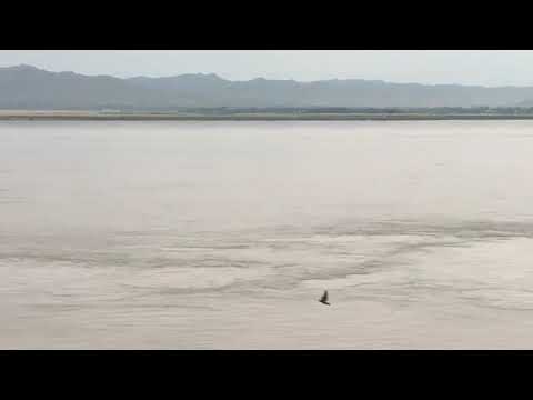 Sedimento do Rio Ayeyarwady, Mianmar