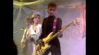 Mecano - Focas