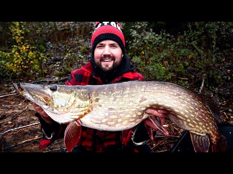 VUODEN SUURIN HAUKI VIIMEISELLÄ REISSULLA