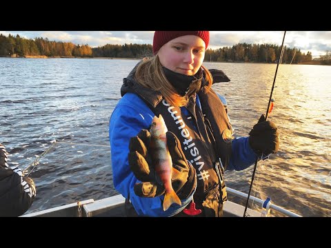 Kalakingien ravintolareissu vaihtui ahvenreissuun - Upea syysilta merellä - Ahvenen kalastus