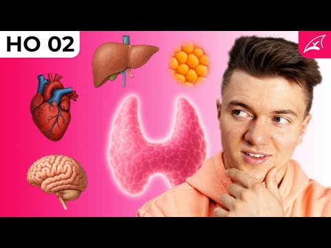 Die Wirkung der Schilddrüsenhormone auf unseren Körper - einfach erklärt! // Hypo- und Hyperthyreose