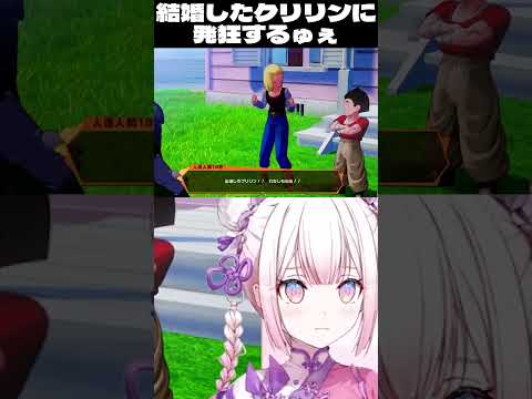 YouTubeShorts用の動画を制作します イメージ1