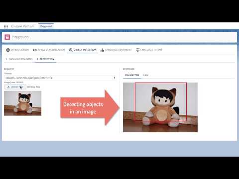 Einstein Object Detection