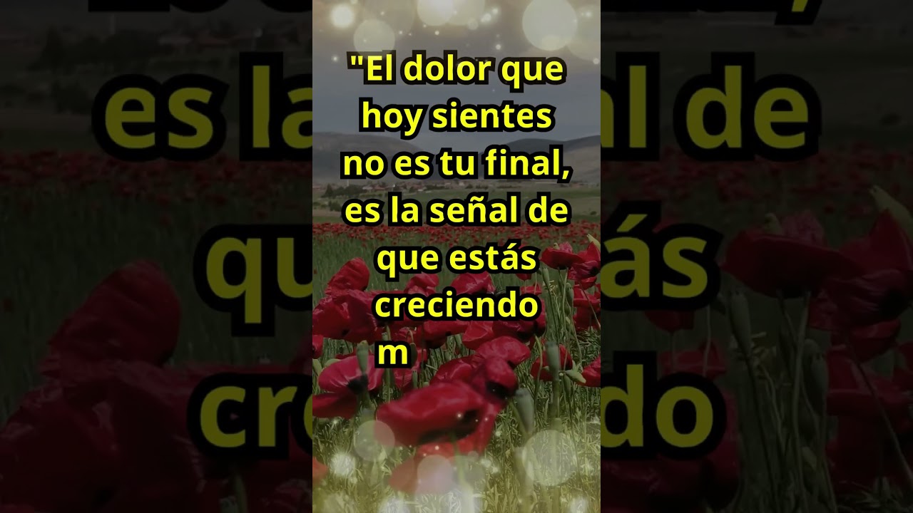 🚨 Self-improvement phrase #3 - Day 263. #totalpositivity #phrases #advice #greatness #love #faith