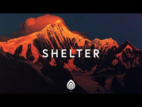 Shelter