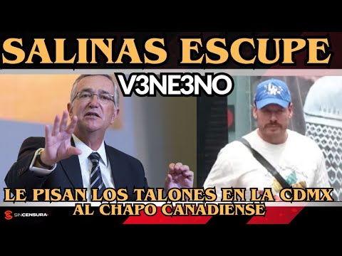 #Salinas escupe v3n3no. Le pisan los talones en la #Cdmx al #ChapoCanadiense. #Sheinbaum