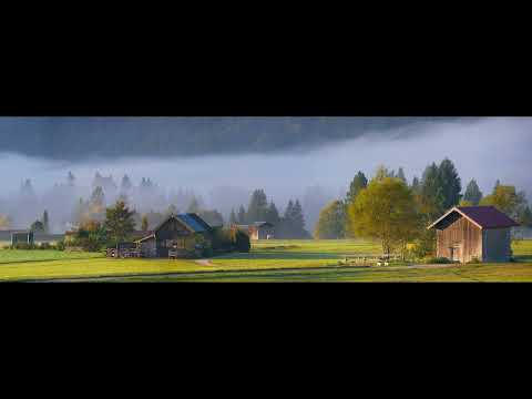 American Fiddle Medley. Traditional / arr. Bob Phillips. Practice Guide. Play Along.