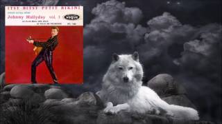 itsy bitsy petit bikini