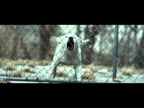 Disclosure   White Noise ft  AlunaGeorge Official Video