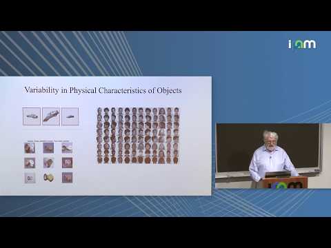 Haim Sompolinsky: "Statistical Mechanics of Deep Manifolds: Mean Field Geometry in High Dimension"