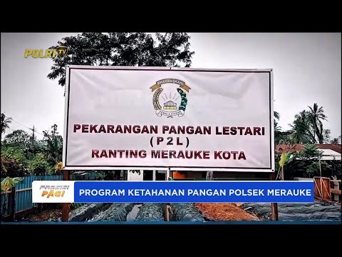 POLSEK MERAUKE KOTA MANFAATKAN LAHAN P2L DAN LAKUKAN PEMBIBITAN IKAN, DUKUNG KETAHANAN PANGAN