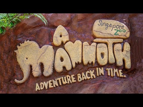 Singapore Zoo ~ A Mammoth Adventure Back in Time