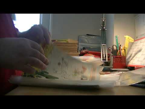 MongoTV_6248 - MIN ANDERS AND BLAD SAMLING - Del 388 - Gamle Anders And Blade