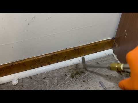 Cockroaches Reside Behind the Oven in Wall...