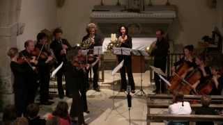 preview picture of video 'Mozart - 25 ème Symphonie, 1er mouvement - par la famille Balestro'