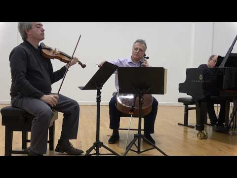 Trio Shaham Erez Wallfisch Dvorak f minor trio op 65 (3rd mov: Poco Adagio)