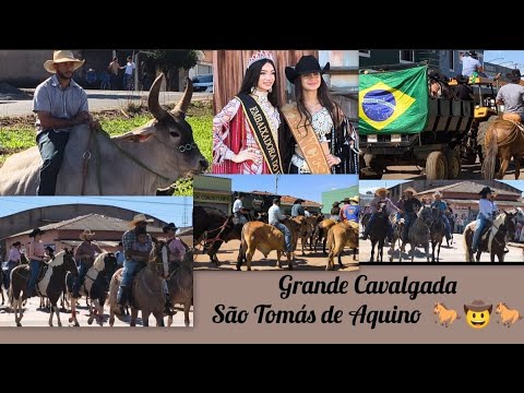 Grande Cavalgada de São Tomás de Aquino 🐎🤠🐎#cavalgada#festarural#vidanaroça#horses#muladeiro#cavalos